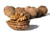 nuts,nuts