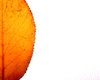 Leaf Border