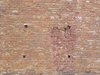 Brick wall