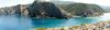 caladomestica