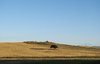 sardinia landscape 1