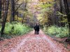 romantic autumn