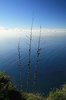Cliff edge