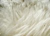 Sheep skin texture 2