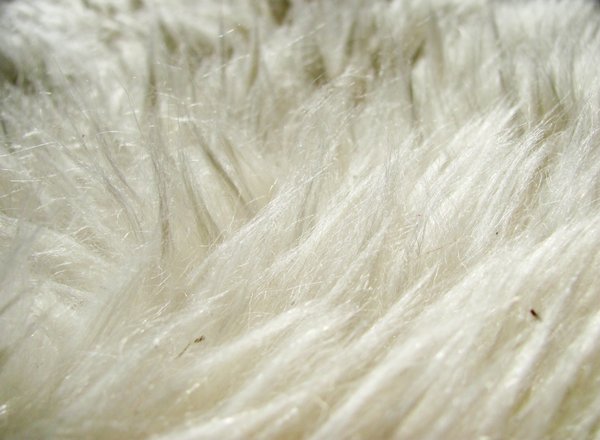 Sheep skin texture 2