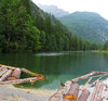 floating timber 1