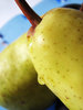 pears and plums 4