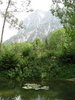 Rock, wood & water