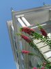 Achilleion palace - skywards