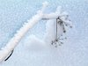 Snow 2