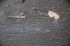 Weathered Paint