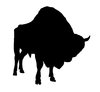Wisent