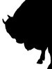 Wisent