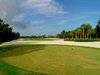 Golf and Lunch 