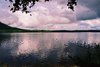 Gray Sky