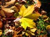 Changing Seasons