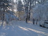 Winter Magic