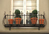 window box flowers