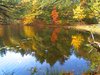 Berry Pond