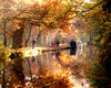 The beautiful Shropshire union