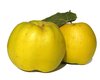 quinces