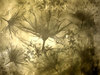 grungy vintage background