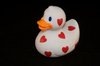 Little Duck