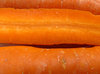 carrot colour