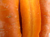 carrot colour