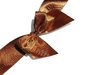 elegant bow 1