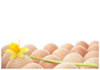 easter athmosphere. 1