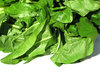 swiss chard
