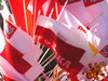 Different Polish flags