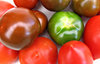 tomato varieties