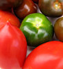 tomato varieties