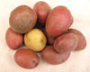 potatoes