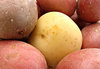 potatoes