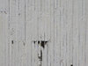 lines of grey
