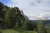 Mountains and conifers