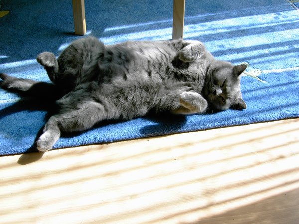 sun bath: sun bath