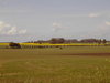 summer fields