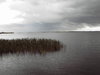 rainy sea