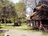 cottage in the sun