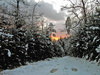 fiery dawn in winter