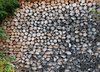 firewood