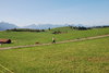 green hills