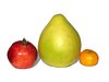 the biggest citrus