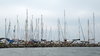 Boats in harbor