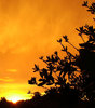 fire in the sky