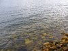 Texture - Seashore